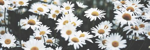 natierose94's profile banner image