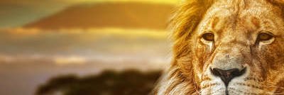CarelesssCee's profile banner image