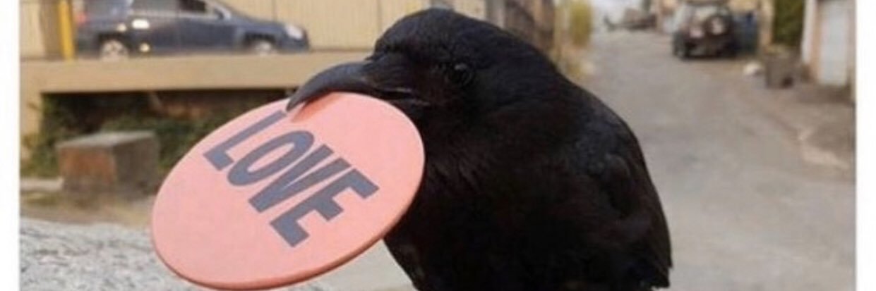 RadicalKevBot's profile banner image