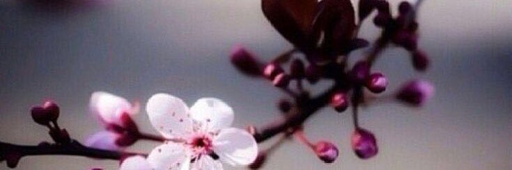 by20__'s profile banner image