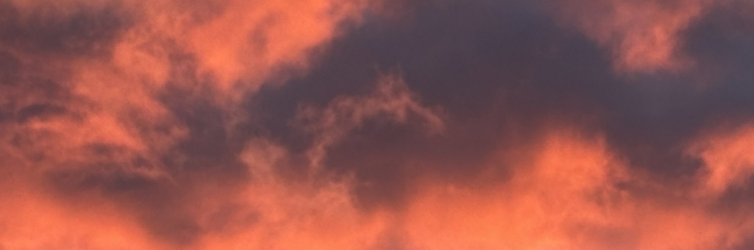 Tim Purcell 🏴󠁧󠁢󠁷󠁬󠁳󠁿 banner