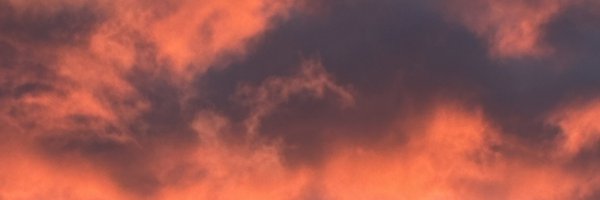 Tim_Purcell Profile Banner