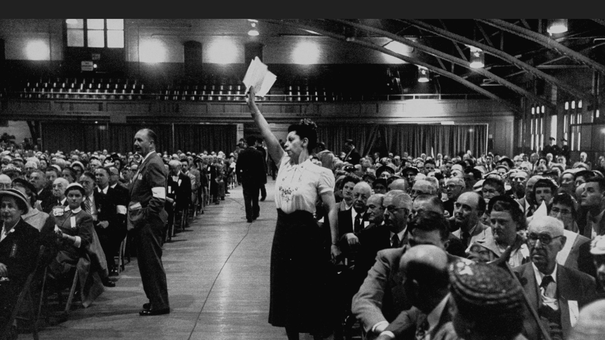 lauren taylor wolfe banner