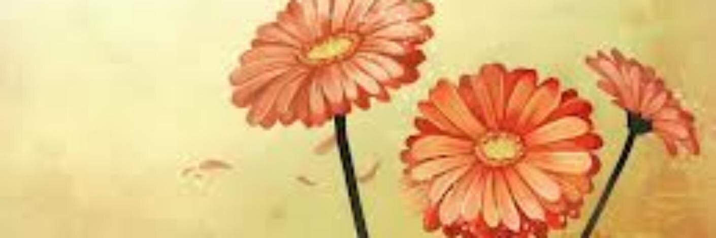 fiera_zelinsa's profile banner image