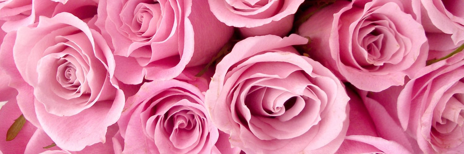 cupcake_98's profile banner image