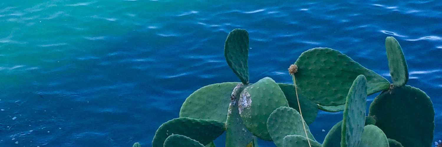 MeriMarttinen's profile banner image