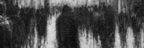 i4040ii's profile banner image