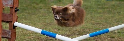 Assa Borg Snævarr Þórðardóttir banner