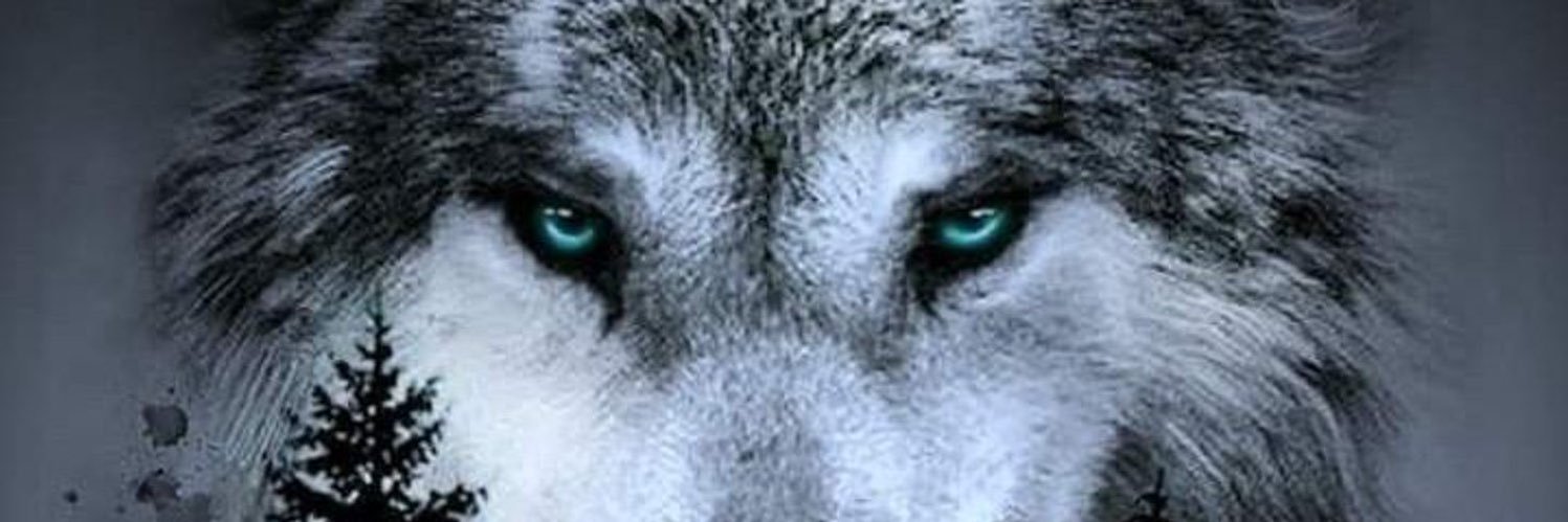 lesser10's profile banner image