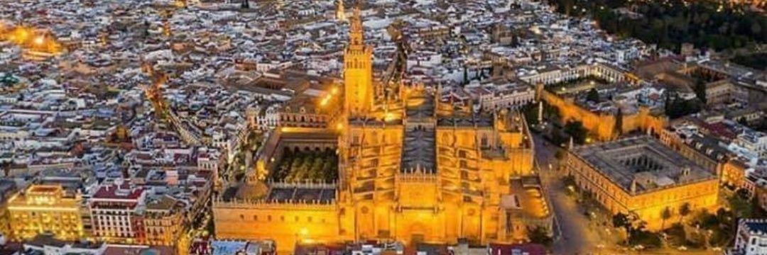 decastrojosema's profile banner image