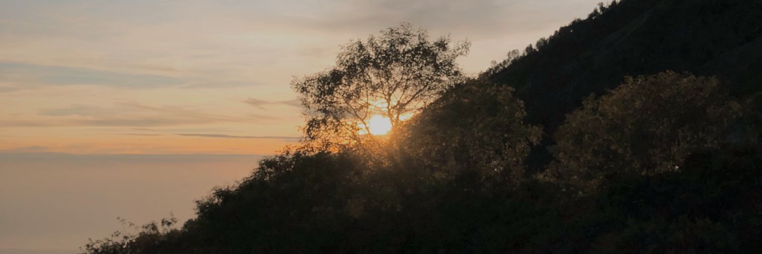 pemberirezeki's profile banner image