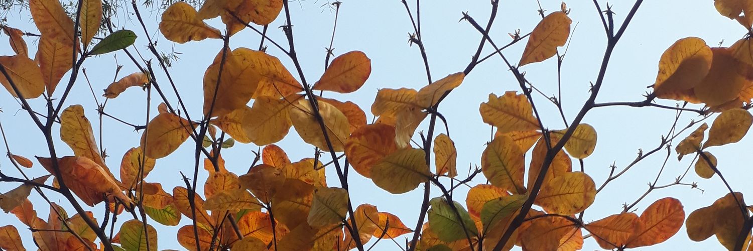 aghasta23's profile banner image
