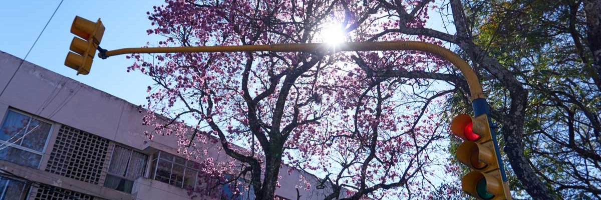 gutierrez_ve's profile banner image