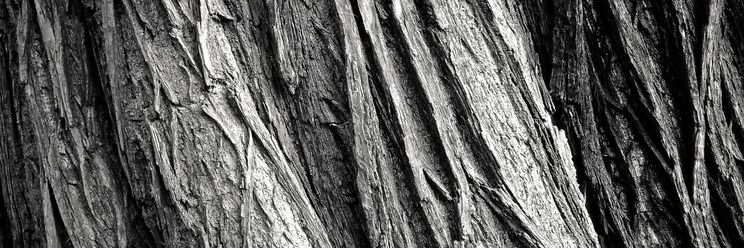 MindDiesel's profile banner image