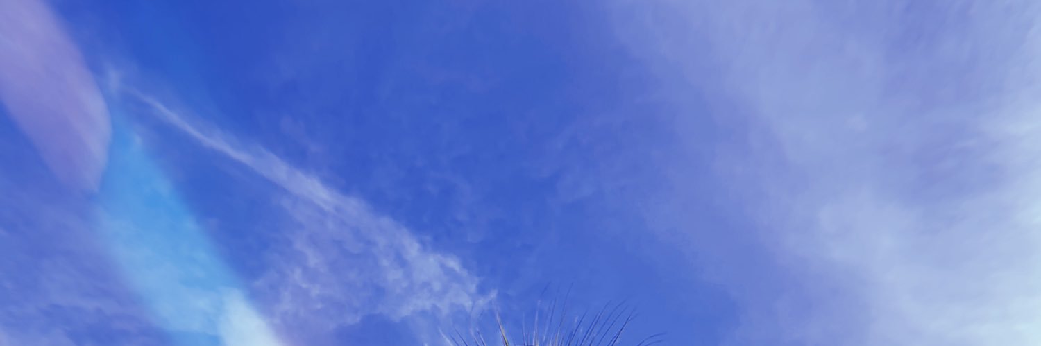 carolineasss's profile banner image