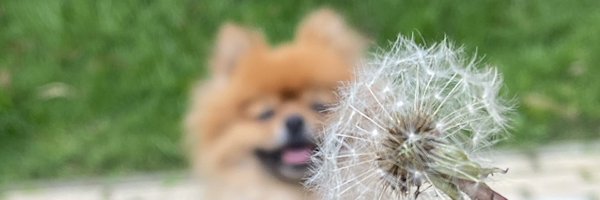 ManuCastrillonM Profile Banner