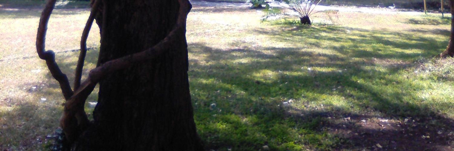 smunorevesa's profile banner image