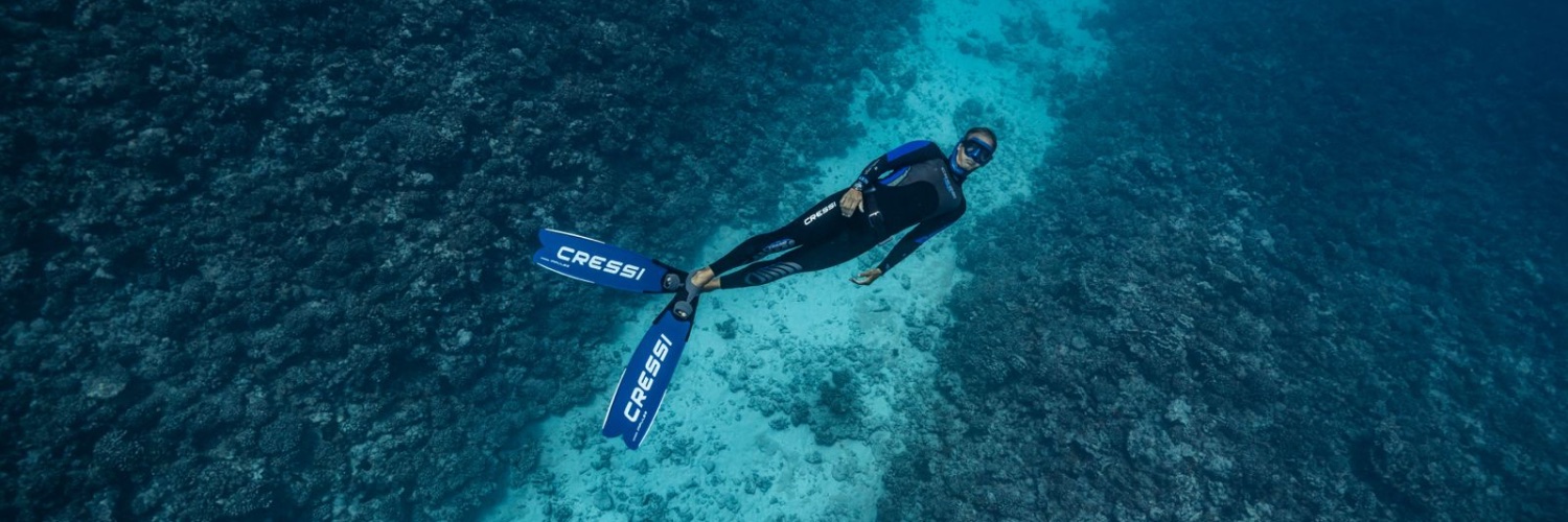 Pierre FROLLA banner