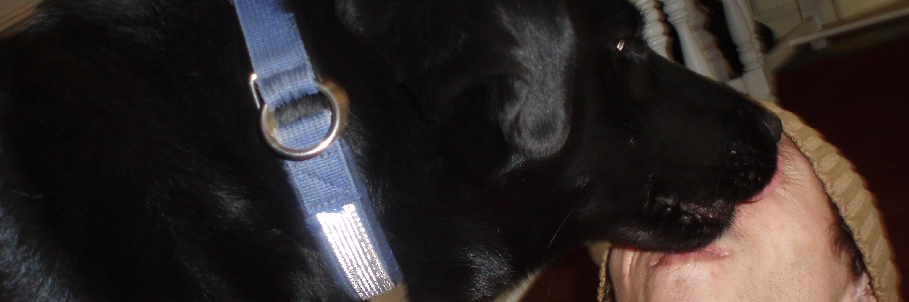 _Noraxe's profile banner image