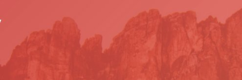 Phoenix Arbor Strategic Marketing and Leadership banner