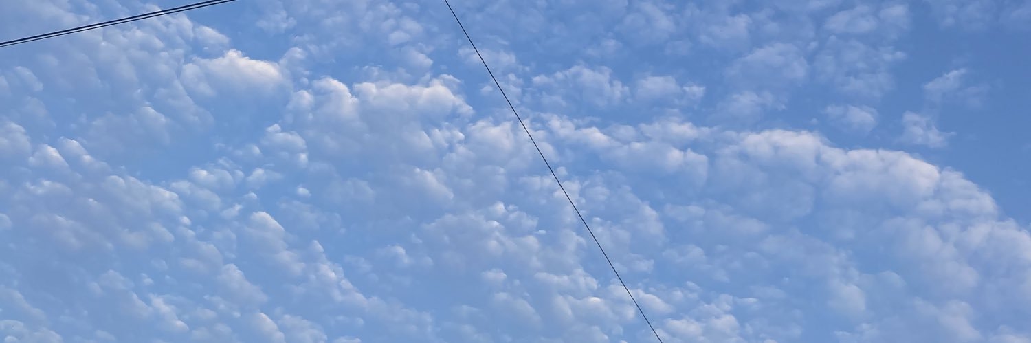 Estoong's profile banner image