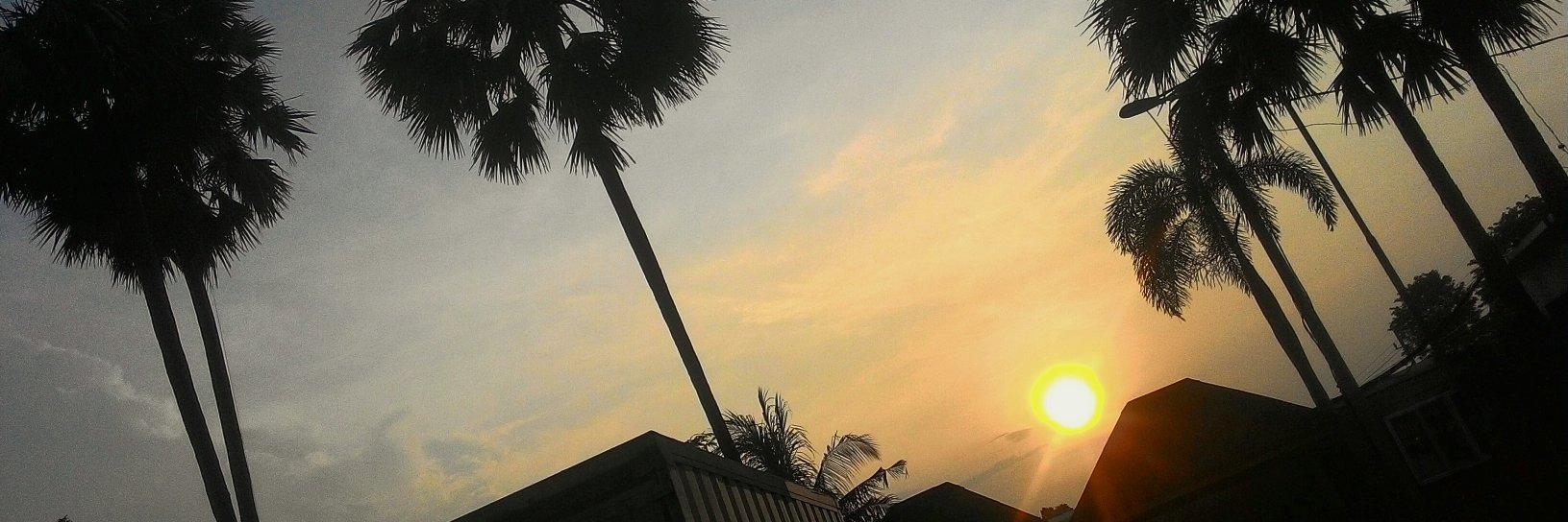 EL_LaiQ's profile banner image