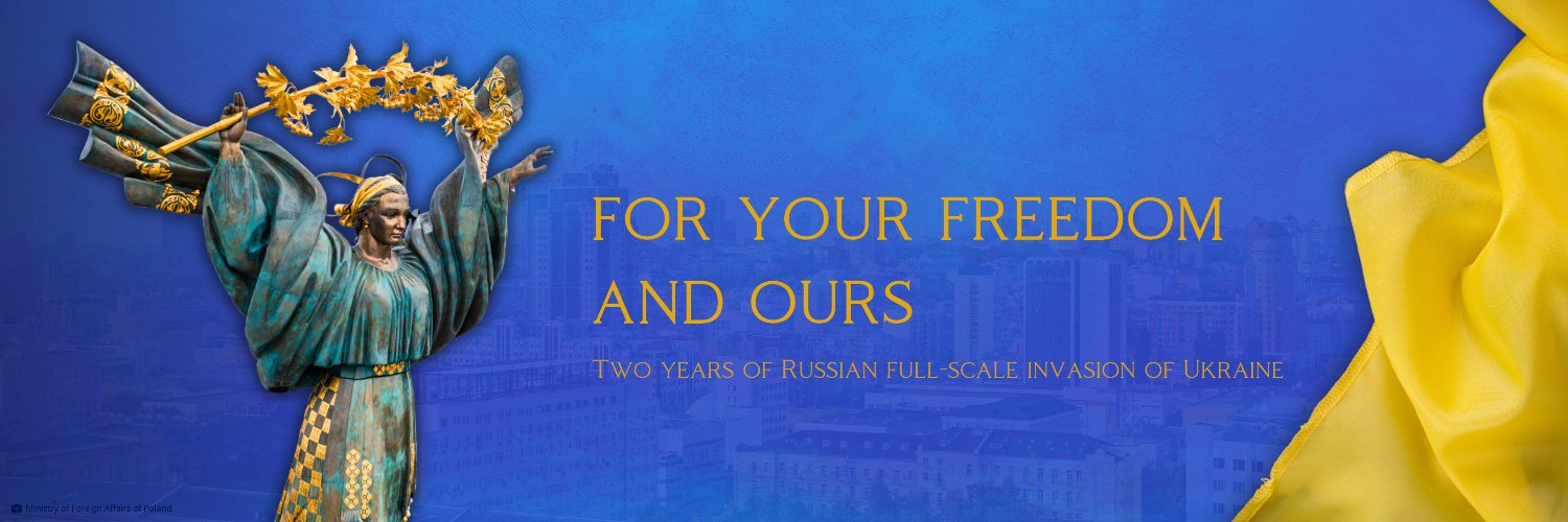Polish Embassy IRL's banner