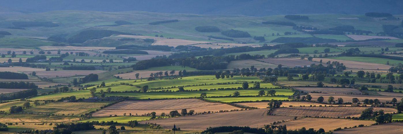 DuncanCouchman's profile banner image