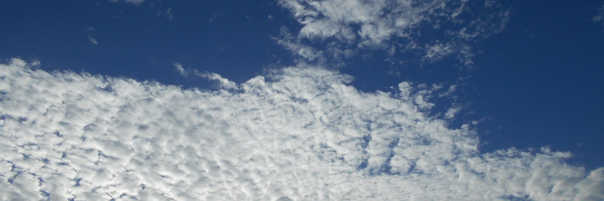 moonbird_xx's profile banner image