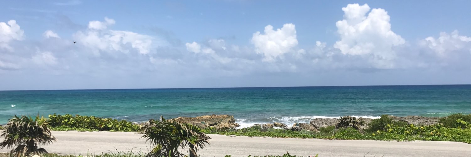 Celina Grienier banner