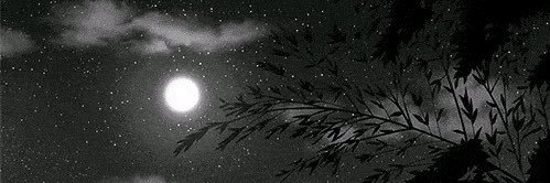 megg1295's profile banner image