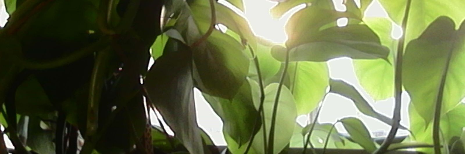 _VINTAGEJEWELRY's profile banner image