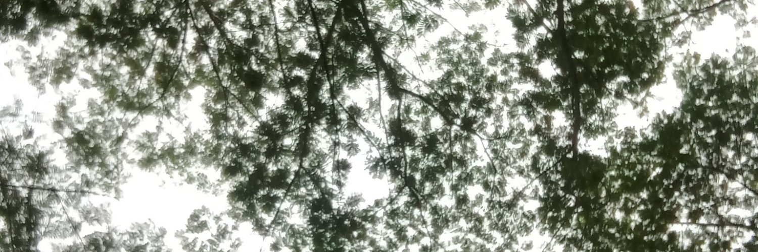 nanas_na's profile banner image