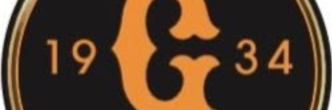 gailovets's profile banner image
