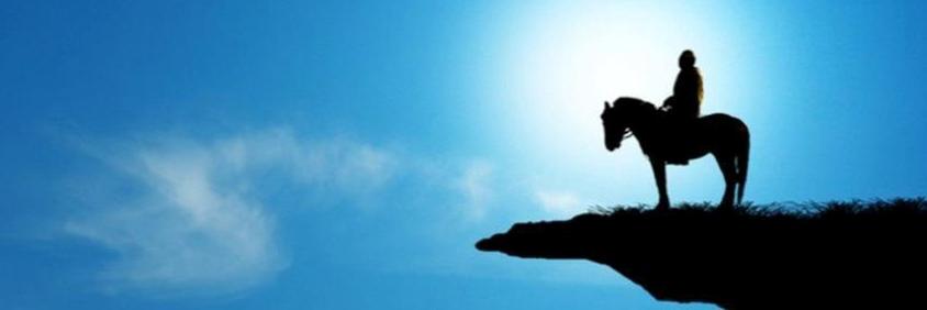 TOKBilgin's profile banner image