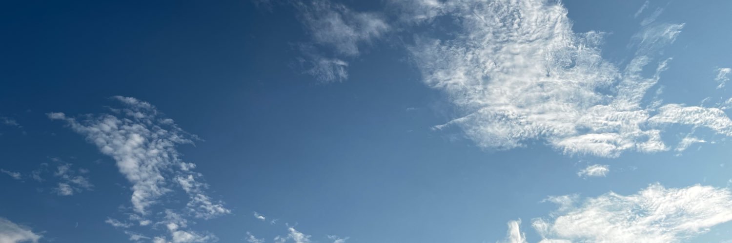 Holger 🇪🇺🇩🇪🇸🇪🏳️‍🌈🐑📯 banner