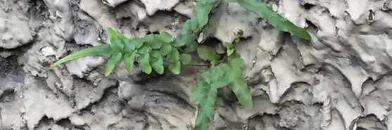 TomBalmores's profile banner image