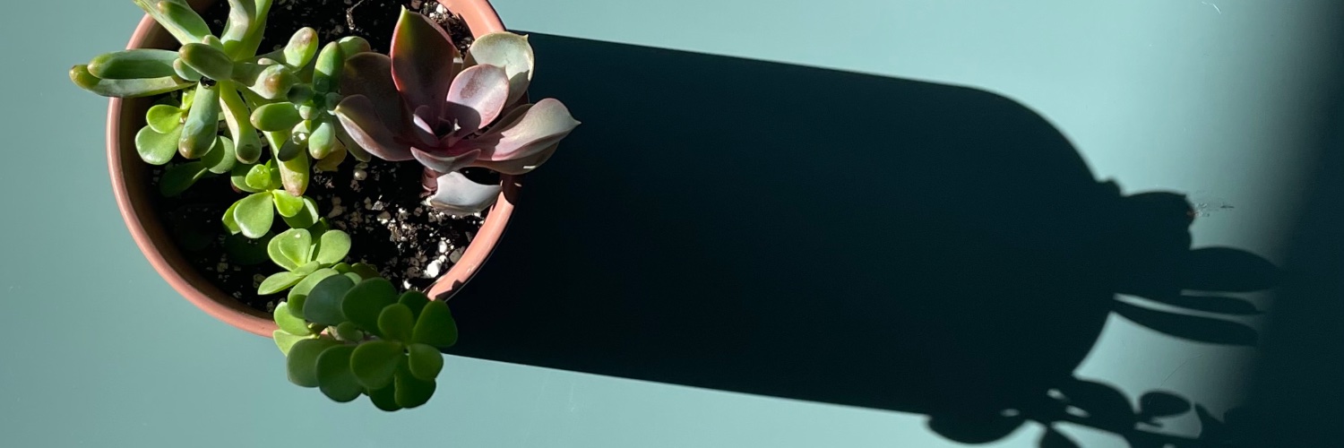 KyleBunk's profile banner image