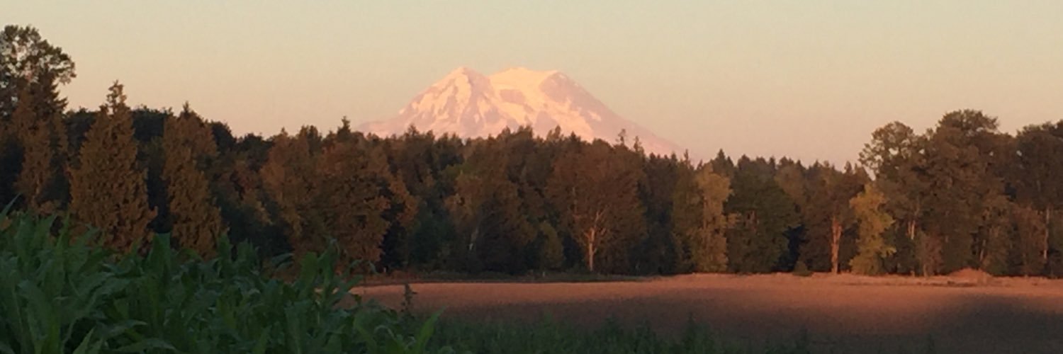 mitja777's profile banner image