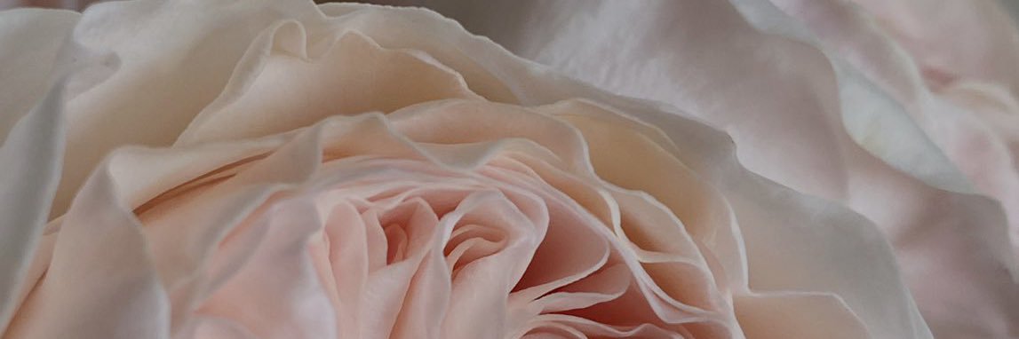 NaajdD's profile banner image
