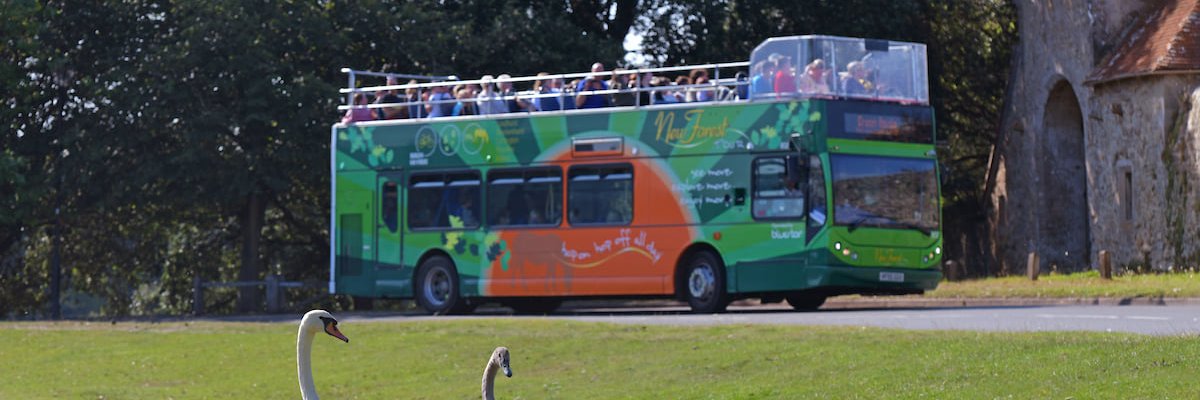 The New Forest Tour banner