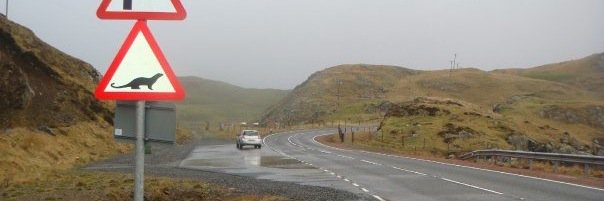 Helen Mockridge banner