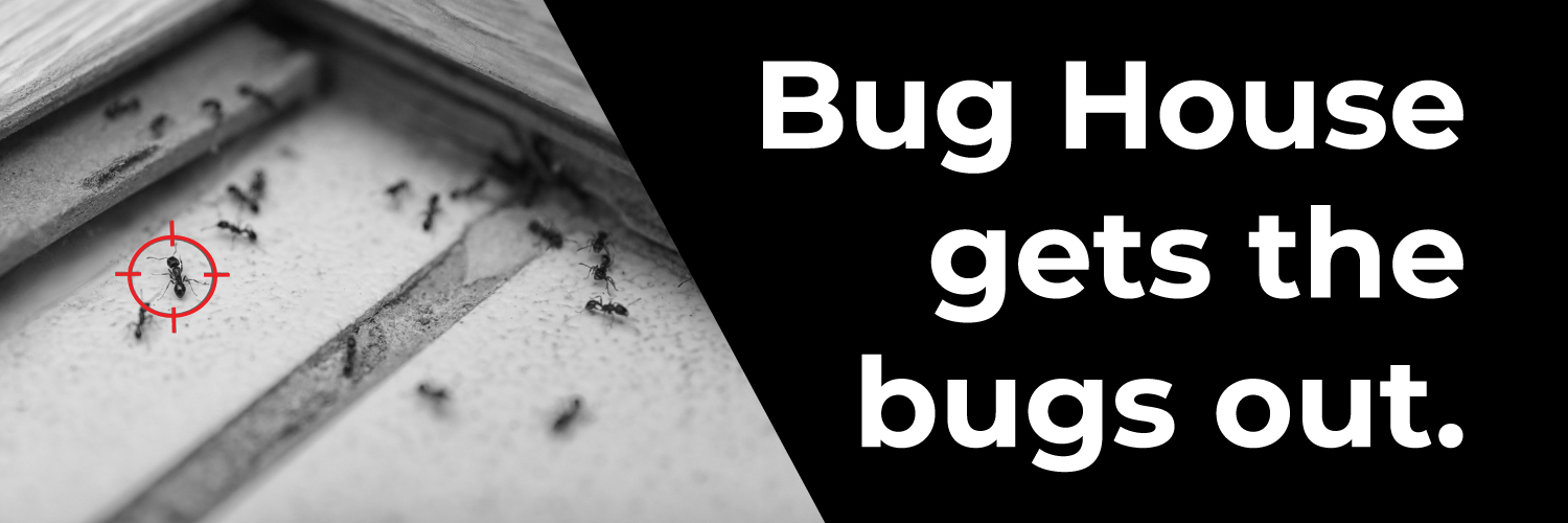 BugHousePest's profile banner image