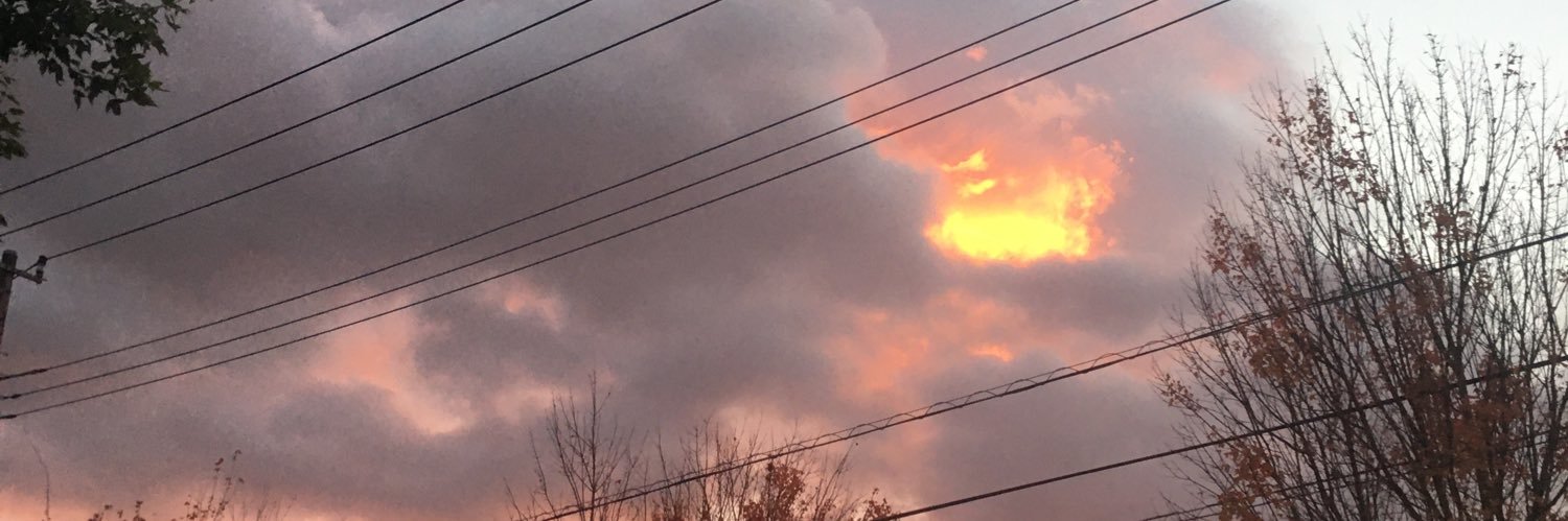 mlzore666's profile banner image