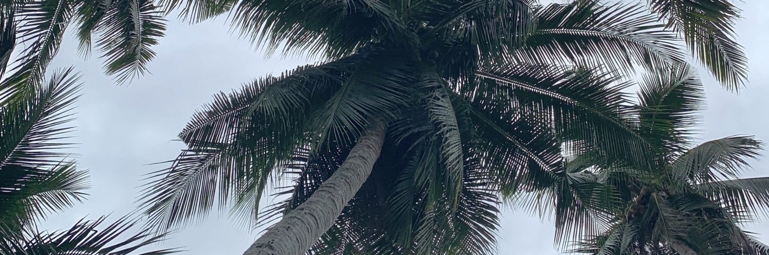 MakiRadcliffe's profile banner image