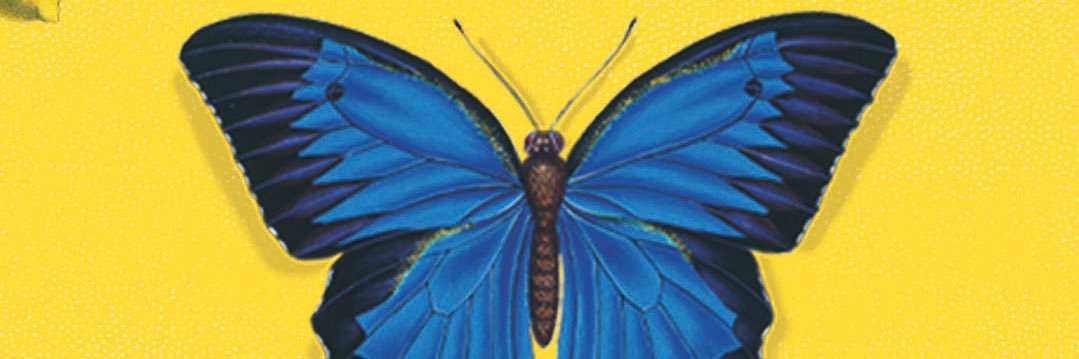 Museums & Galleries banner