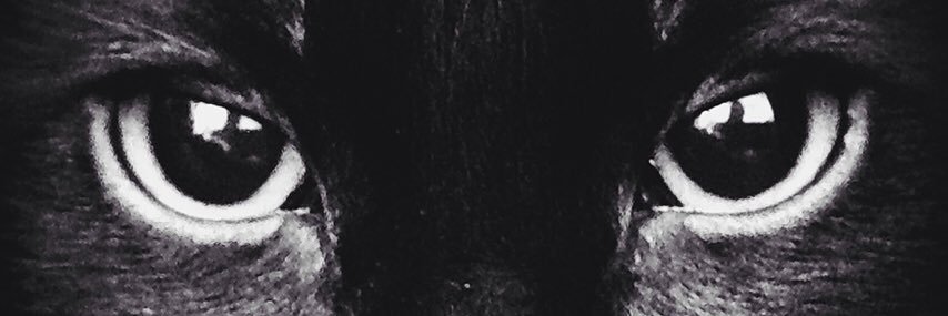 tiotiiii's profile banner image