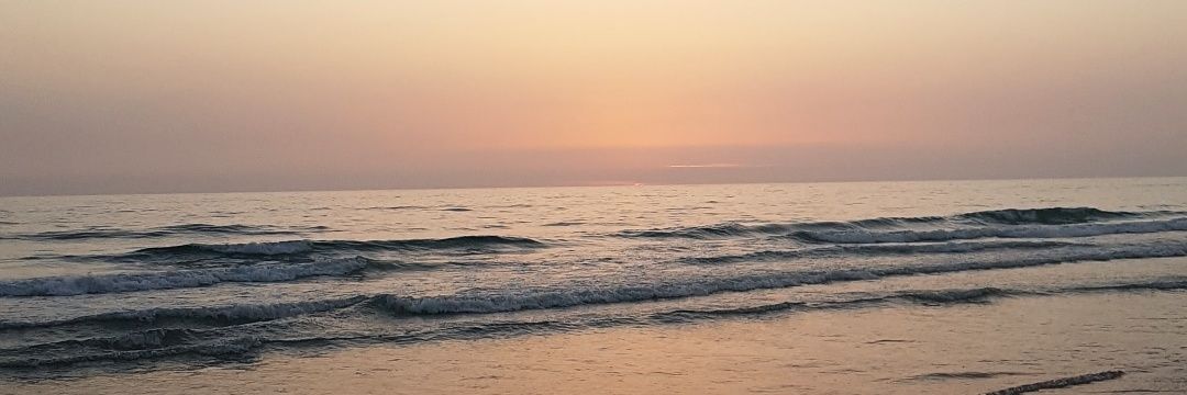DreamForeverAnd's profile banner image