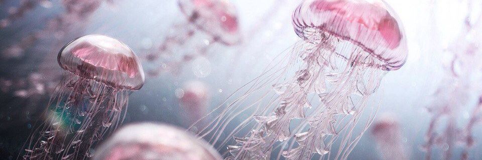 limimi25's profile banner image