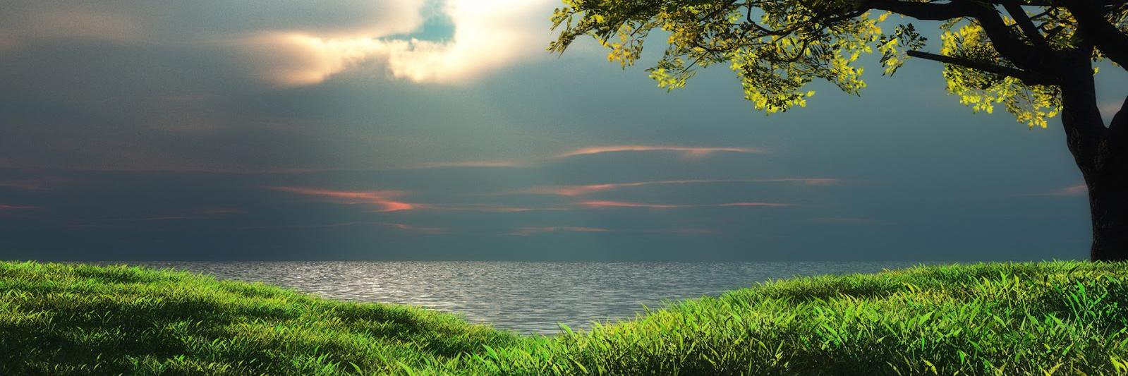 magiadee's profile banner image